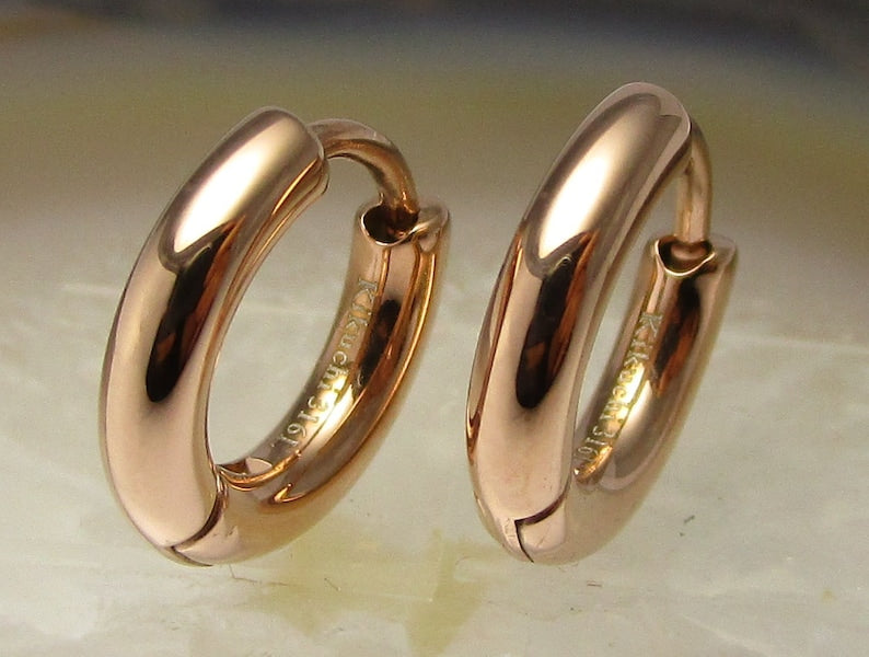 Ø 12 mm / 2.5 mm earrings titanium clasp matt high gloss stainless steel hoop huggies narrow tube
